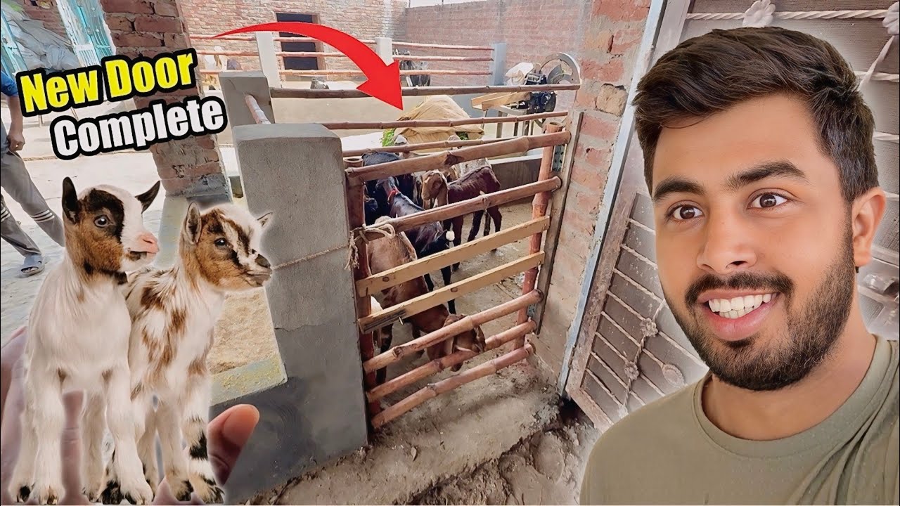 The second door is completed 🚪 Goat Farming 🐐