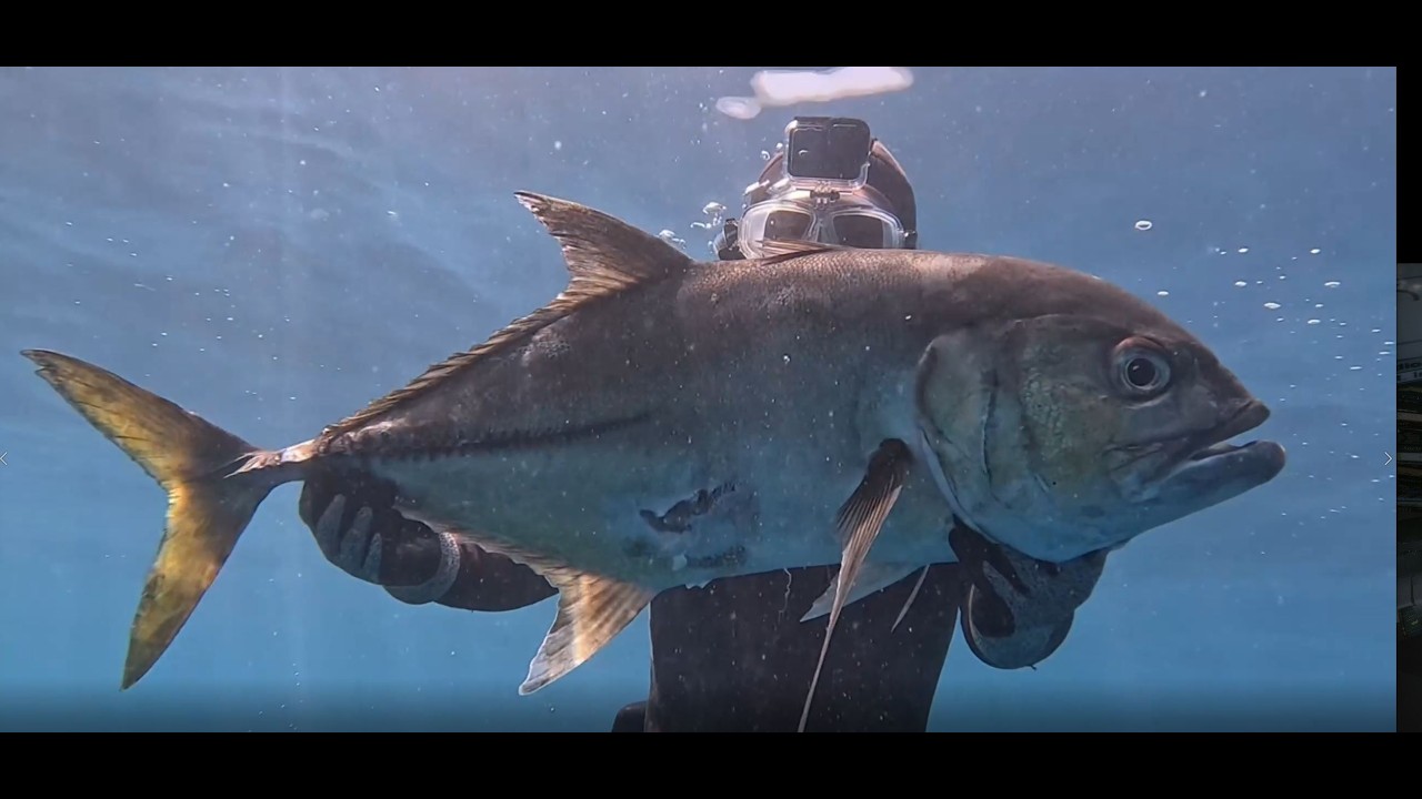 VOLCANO MONSTER: Catching Giants Near the Crater!