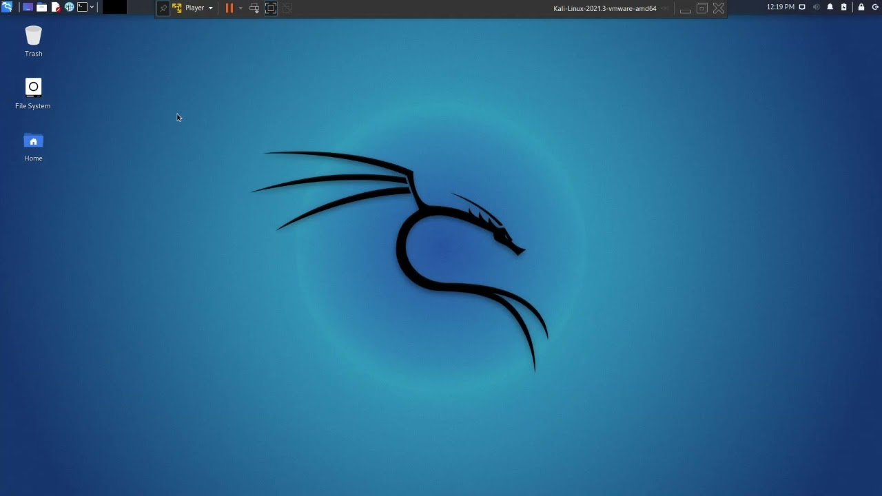 Data Recovery from usb flash drive using foremost (Kali Linux)