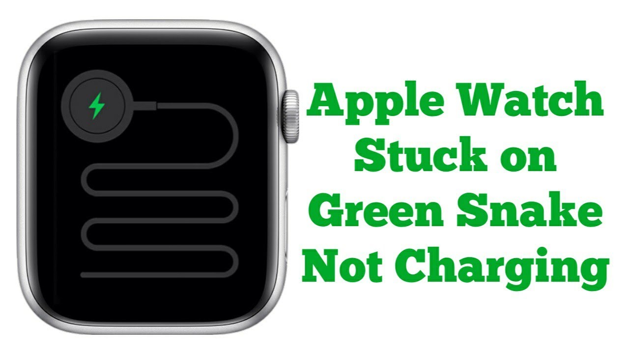 Apple Watch Stuck on Green Snake and Not Charging on watchOS 10 - Fixed 2023