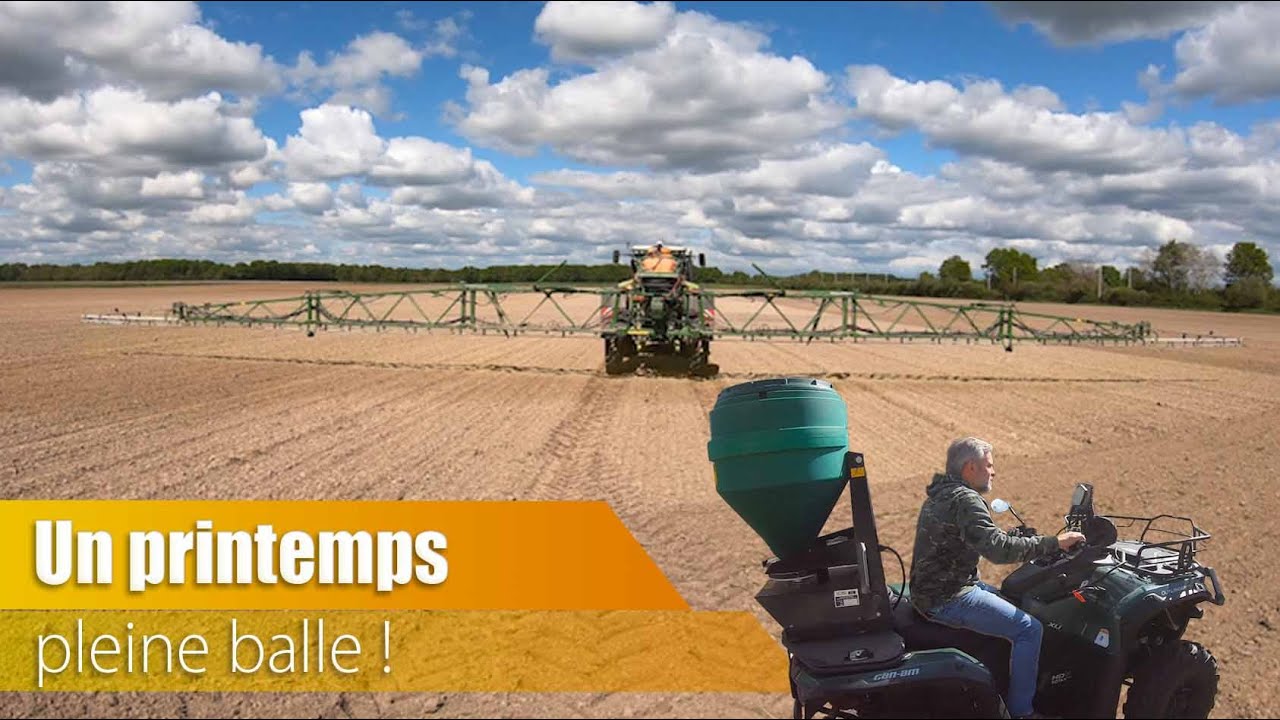 Un printemps pleine balle !