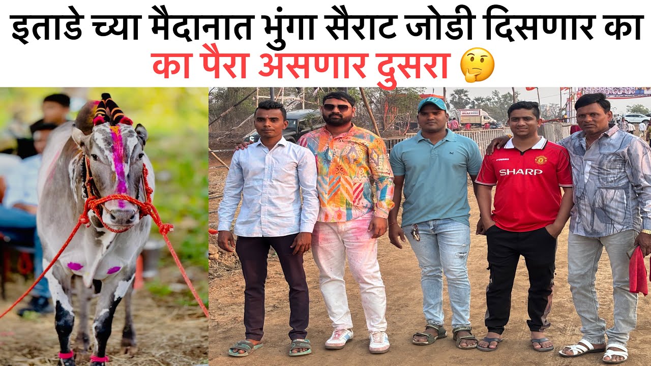 इताडे च्या मैदानात भुंगा सैराट जोडी पळताना दिसणार का 🤔