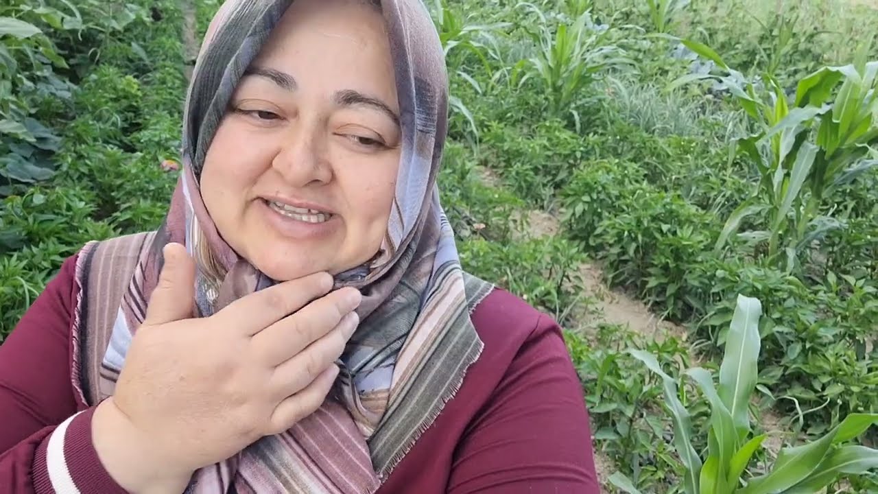 BAHÇENİN SON DURUMU! 🥰Soğan tohumunu nasıl alıyorum. BAHÇE ÇİÇEKLERİ