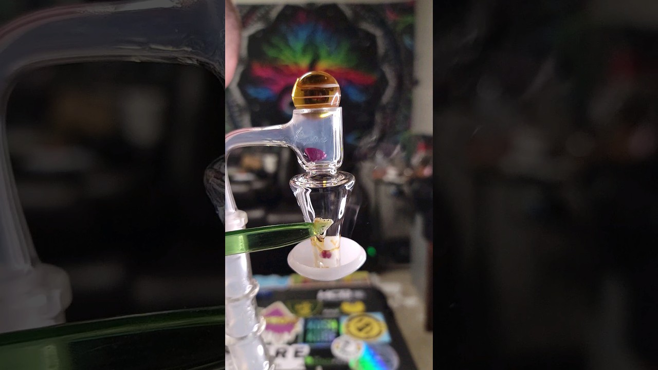 Honeysuckle Nectar 🐝Beehive by &lrm;@honeybeeherb4256&nbsp;  get yours now at HighAdventures deals on wheels