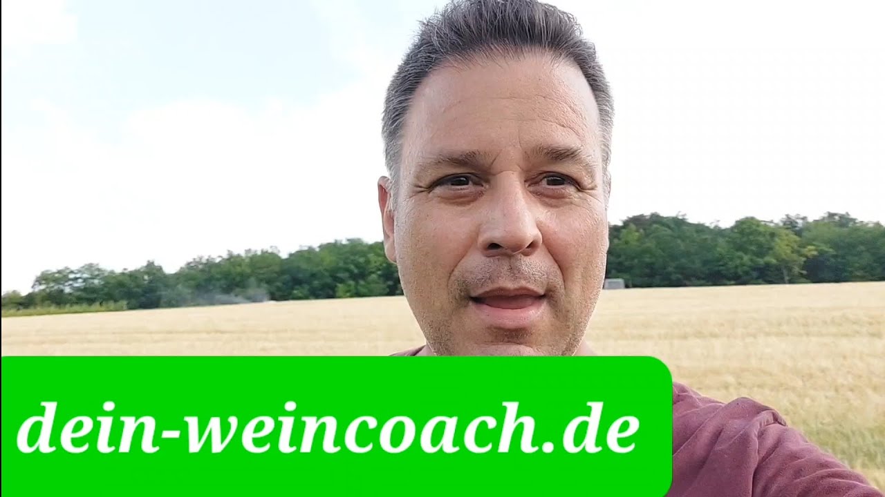 Power für die Rebe nach der Blüte. So sparen Winzer Wasser im Weinberg