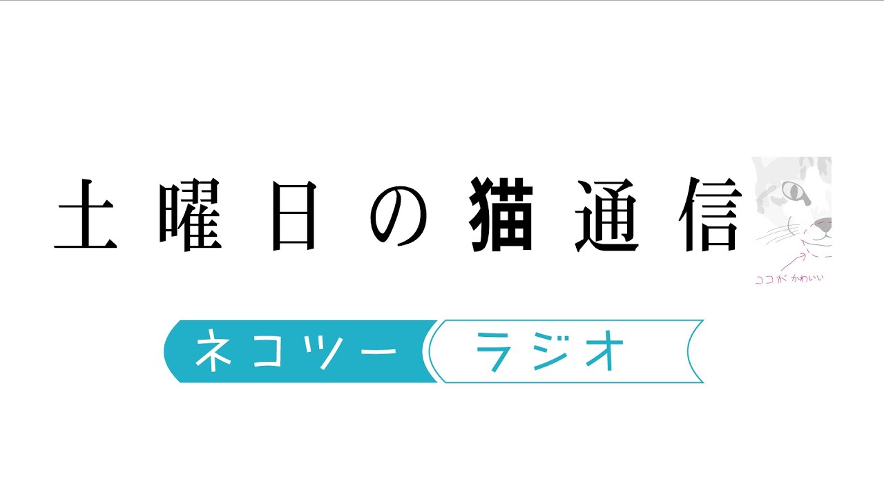 【第127夜】2/7 23時～は、久しぶりのネコツー&rdquo;表&rdquo;ラジオ（つまり公開）！もちろん新曲も！ぜひ！