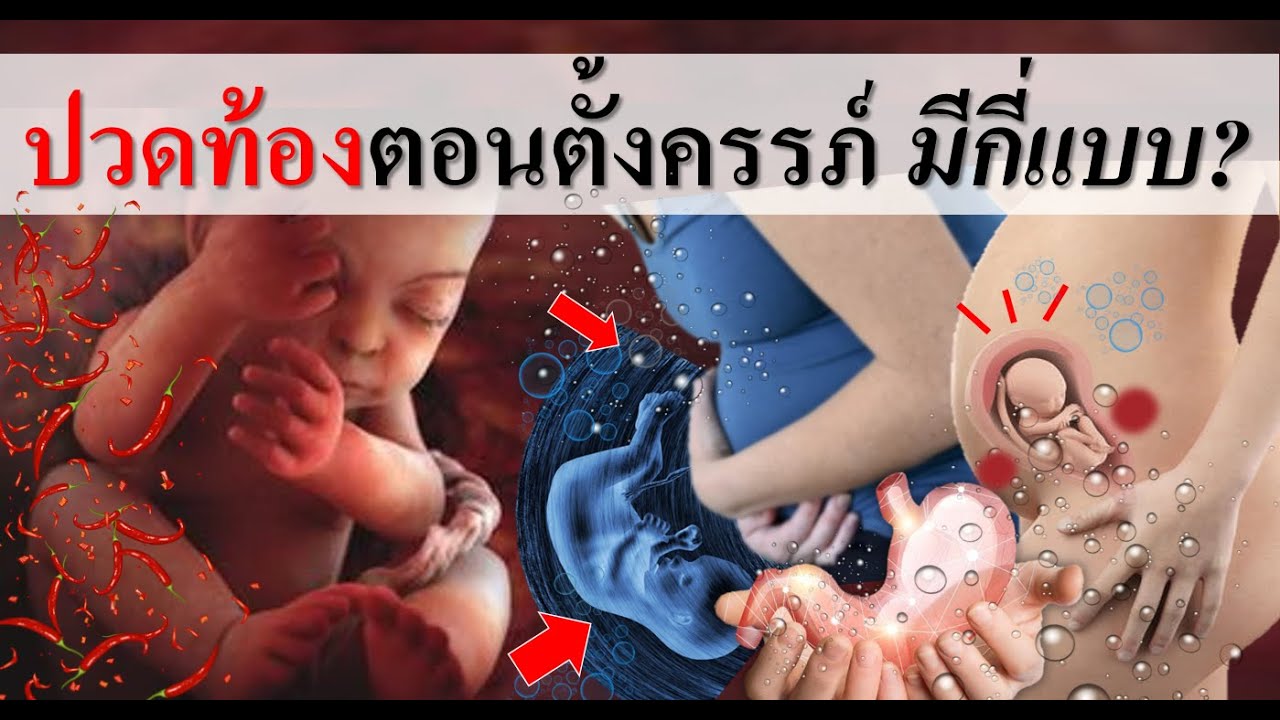 อาการคนท้อง : ปวดท้องตอนตั้งครรภ์มีกี่แบบ? | ปวดท้องขณะตั้งครรภ์ | คนท้อง Everything