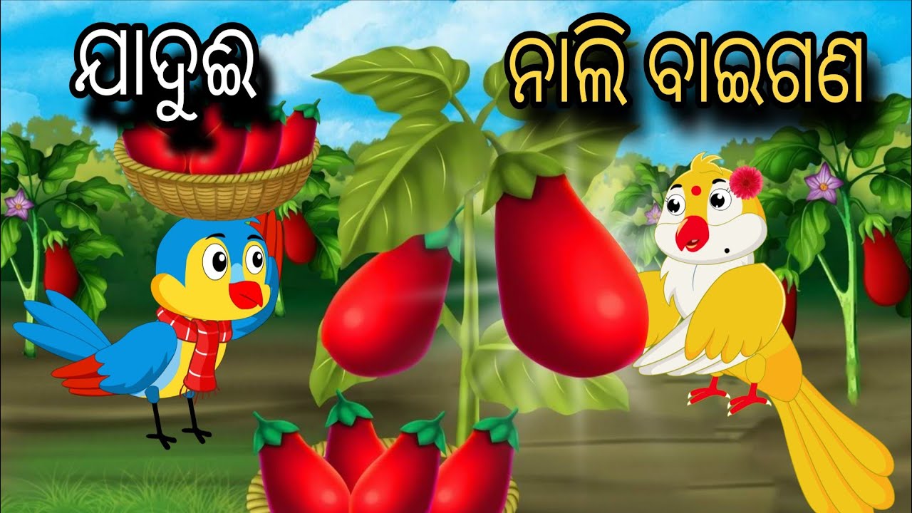 Jadui Nali Baigan | Tiki Chadhei Gapa | Odia gapa | Moral Story | Bird Story | Cartoon Story