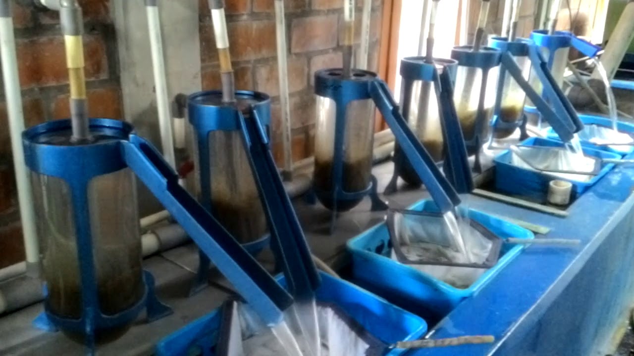 Penetasan Lele dengan Incubator part 1