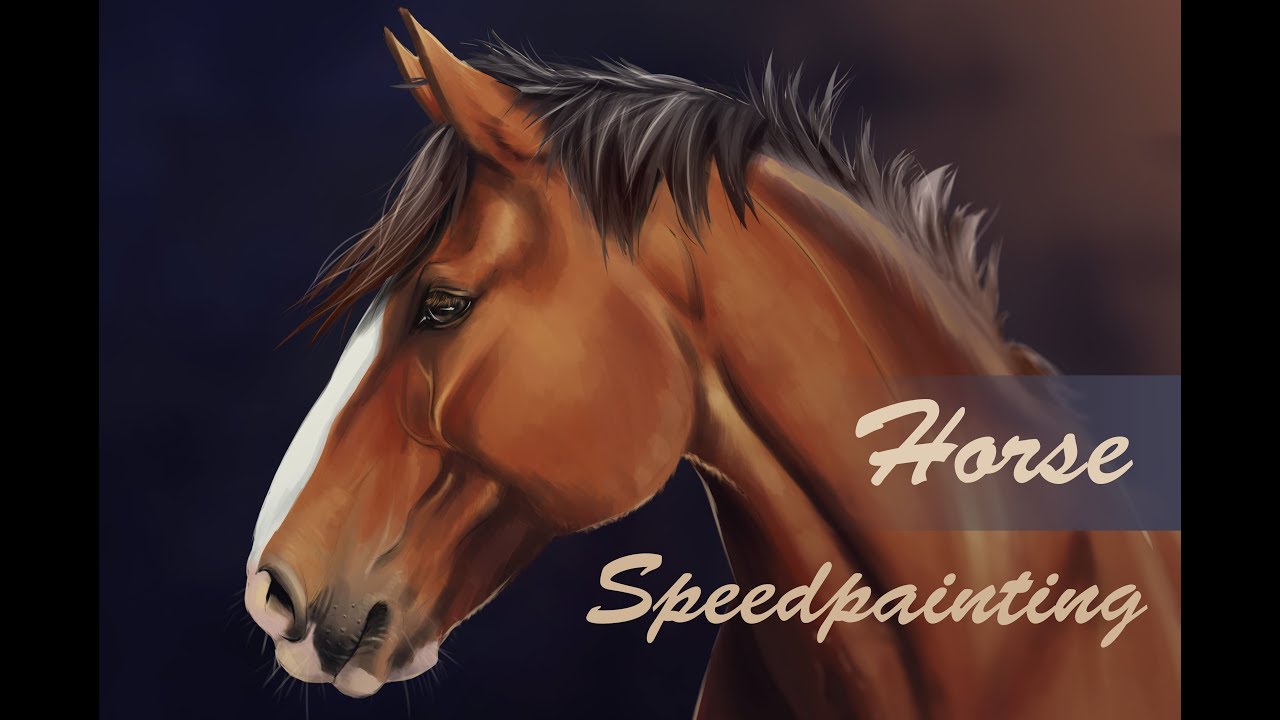 HORSE Speedpainting - Photoshop