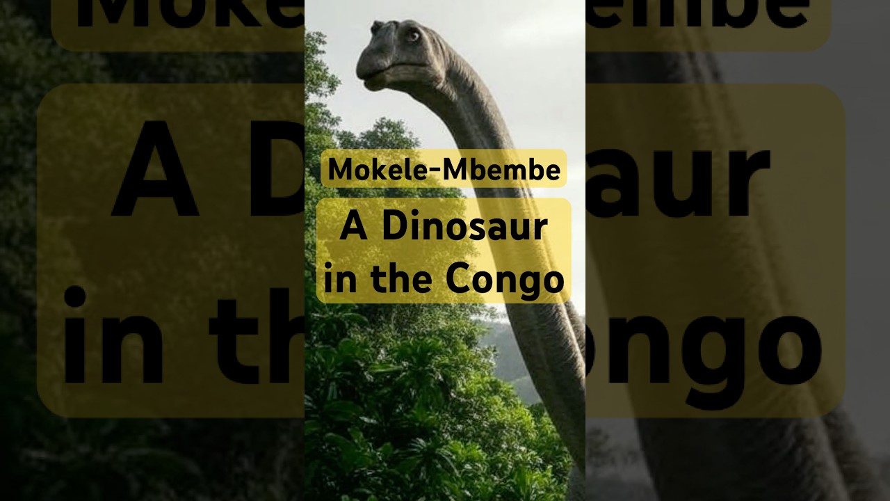 Mokele Mbembe - A Dinosaur in the Congo - Truth or Legend? 