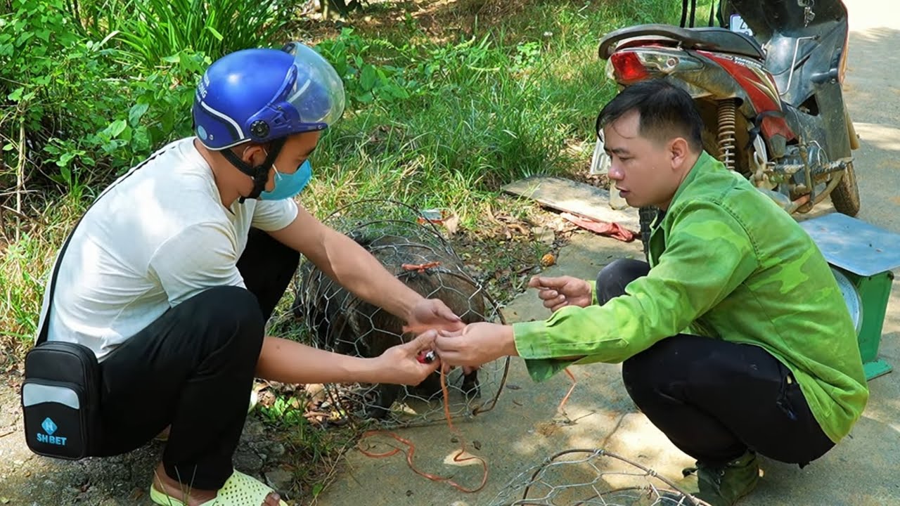 Jhony sells wild boar to prepare money to build a new farm