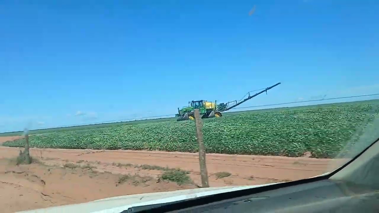 Vamos de fazenda. 