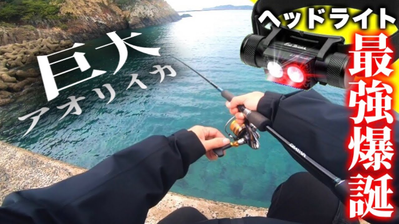 【エギング冬】それは巨大アオリイカを察知した〇〇現象かもしれないので見てほしい（エギ王K）（冬イカ）