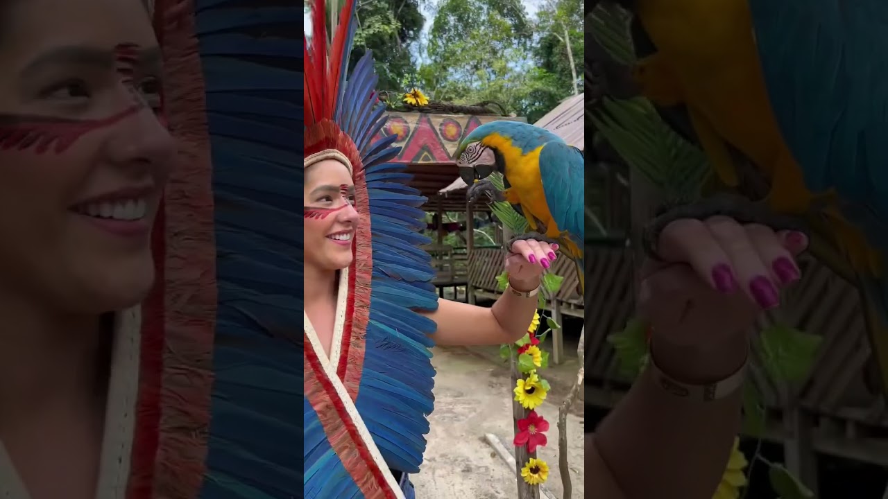 Manaus - Amaz&ocirc;nia - V&iacute;deo completo no canal #florestaamaz&ocirc;nica #amazonia