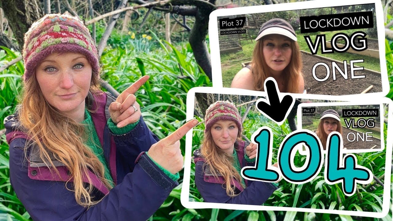 #104 Compost, Potatoes, Wren Boxes and Two Years of Plot 37! || Plot 37