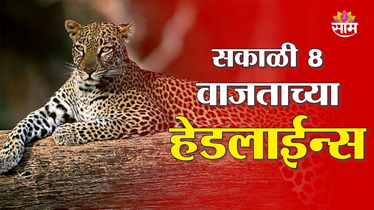 Saam TV Marathi News | Headlines 8 AM | 24 February 2026 | Marathi News