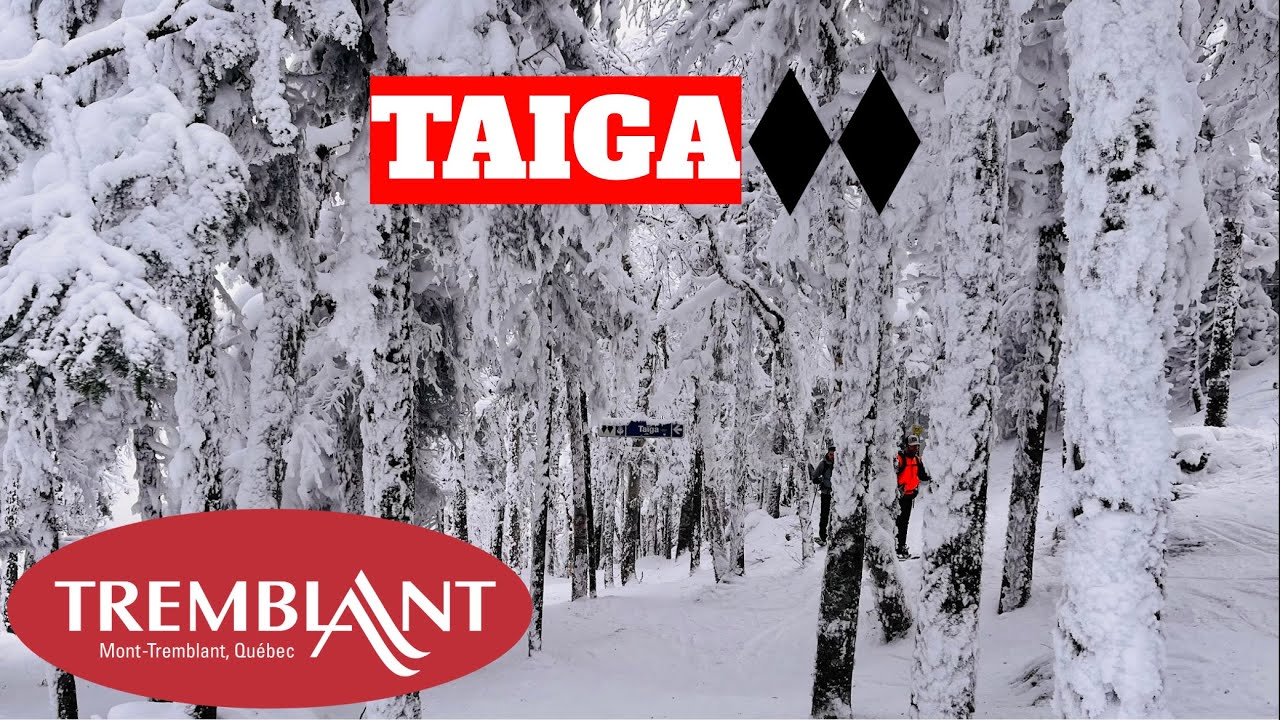 Taiga - Mont Tremblant | Double Black Glade January 2024