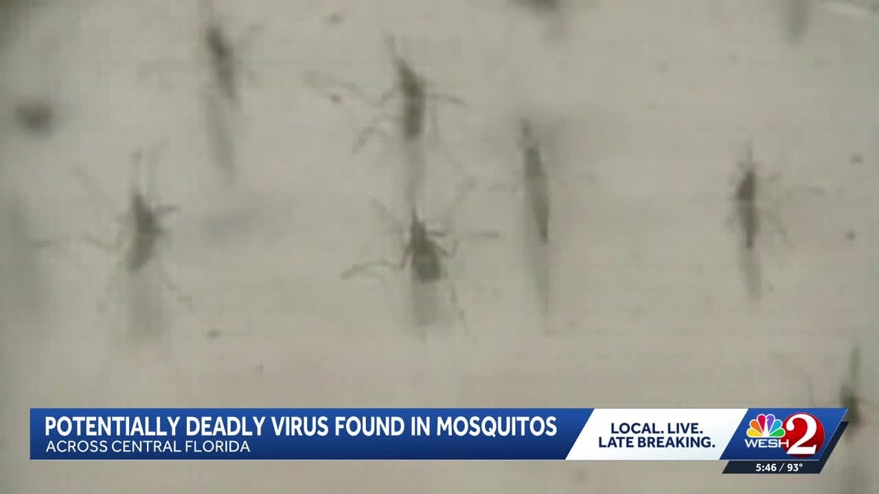 Mosquito-borne virus detected in Central Florida as summer begins