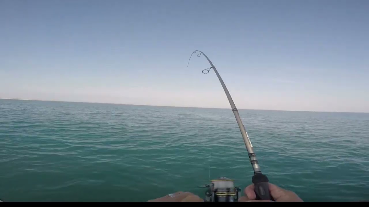 Port Mansfield 2022  CARLOS (CHARLIE) CHAVEZ FISHING