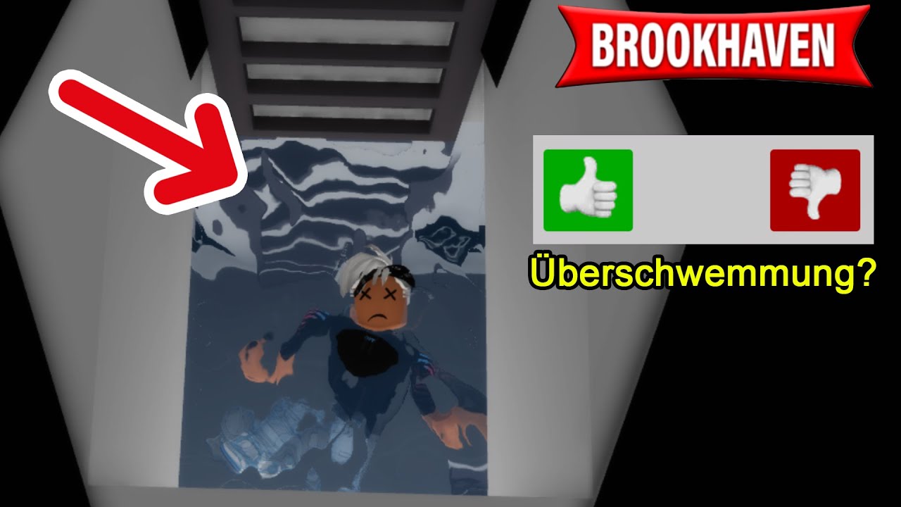 Ich habe mit Dania 9 MYTHEN IN BROOKHAVEN geprüft! Wahr oder Falsch?