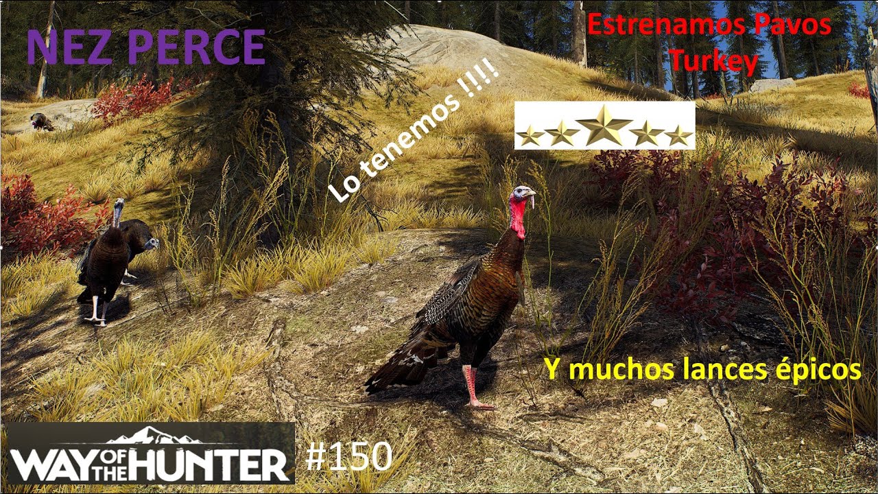 Way of the Hunter: Buscando pavos en Nez Perce