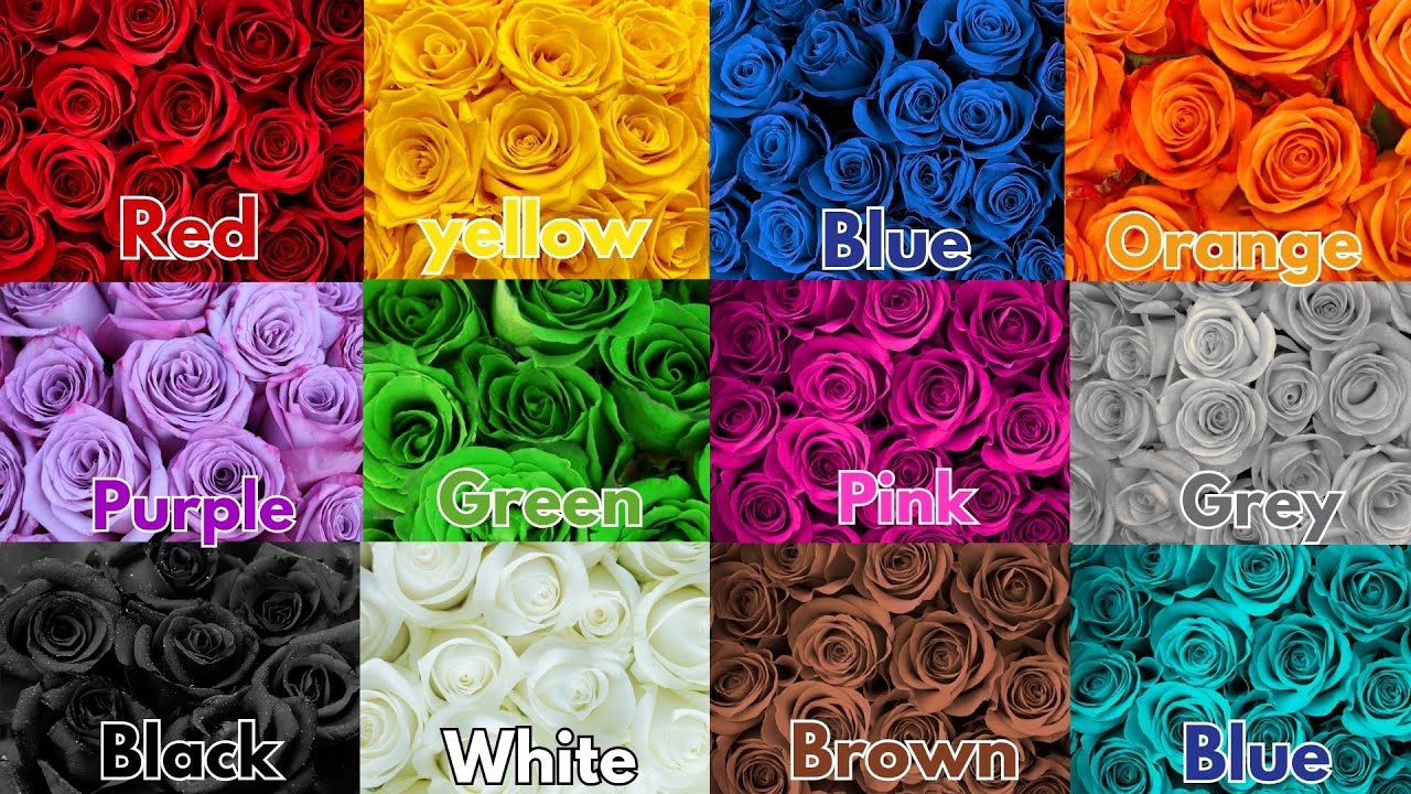 We Love All the Colors|Red , Blue ,pink Colors |Nursery Rhymes for Kids|