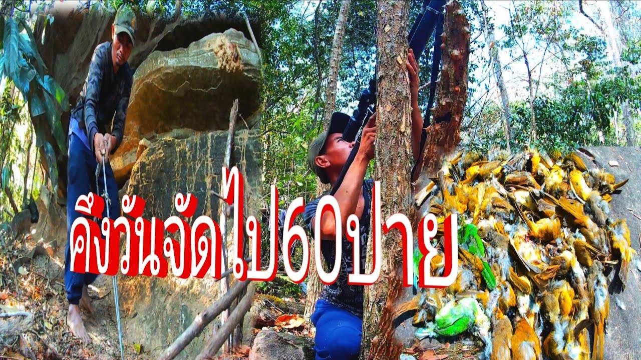 เจอร์พรานเฮียงอยู่ต่อ//ເຈິພານຮຽງຢູ່ຕໍ່//พราน ทองแท้//30.ม.ค.2026