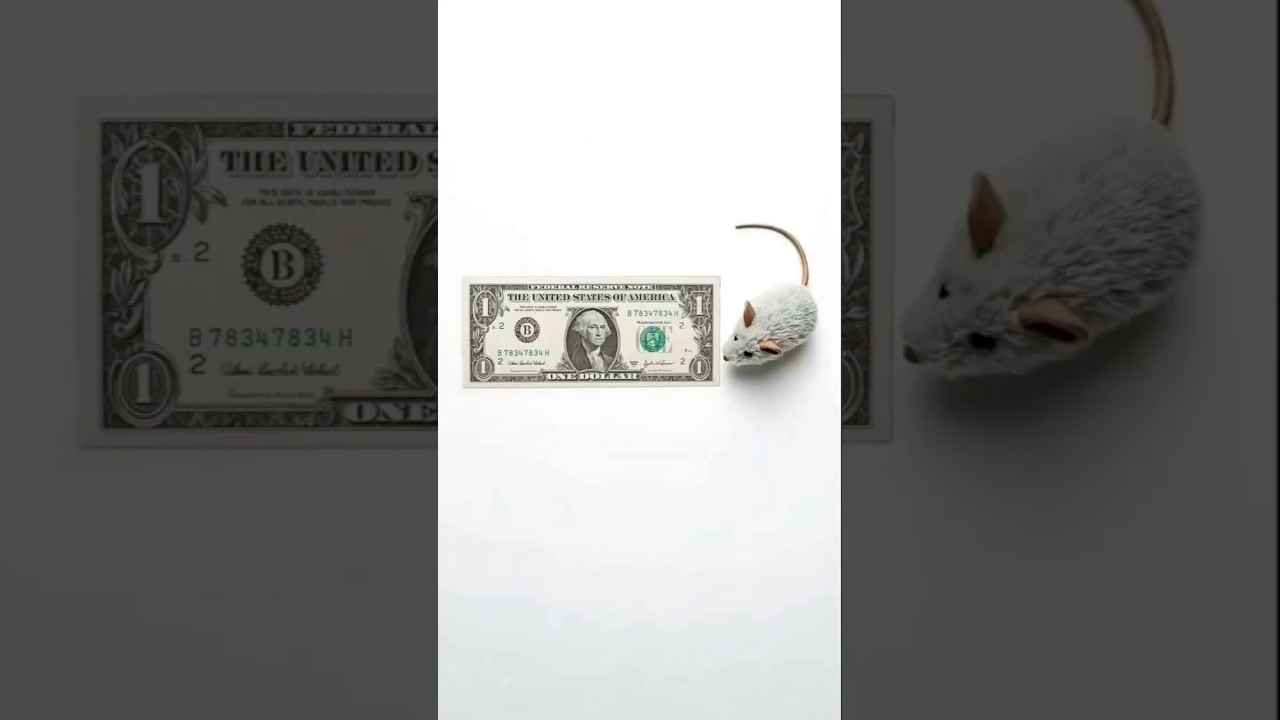 Testing Inky’s Priorities