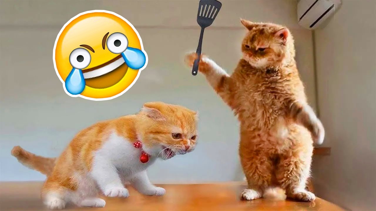 TENTE NÃO RIR Nível ANIMAIS ENGRAÇADOS🔥🤣[999.99 IMPOSSÍVEL]😱Melhores Vídeos Cachorros e Gatos 2026😹🐶
