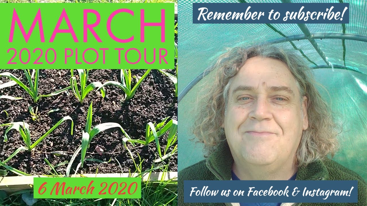 March Allotment Plot Tour (UK), 6/3/2020