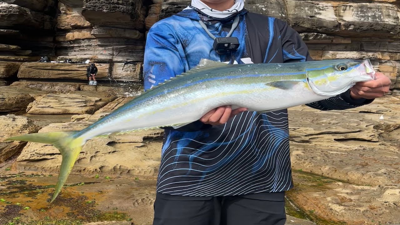 Catching the RAREST Pelagic in Sydney! Insane day rock fishing - Sydney Fishing