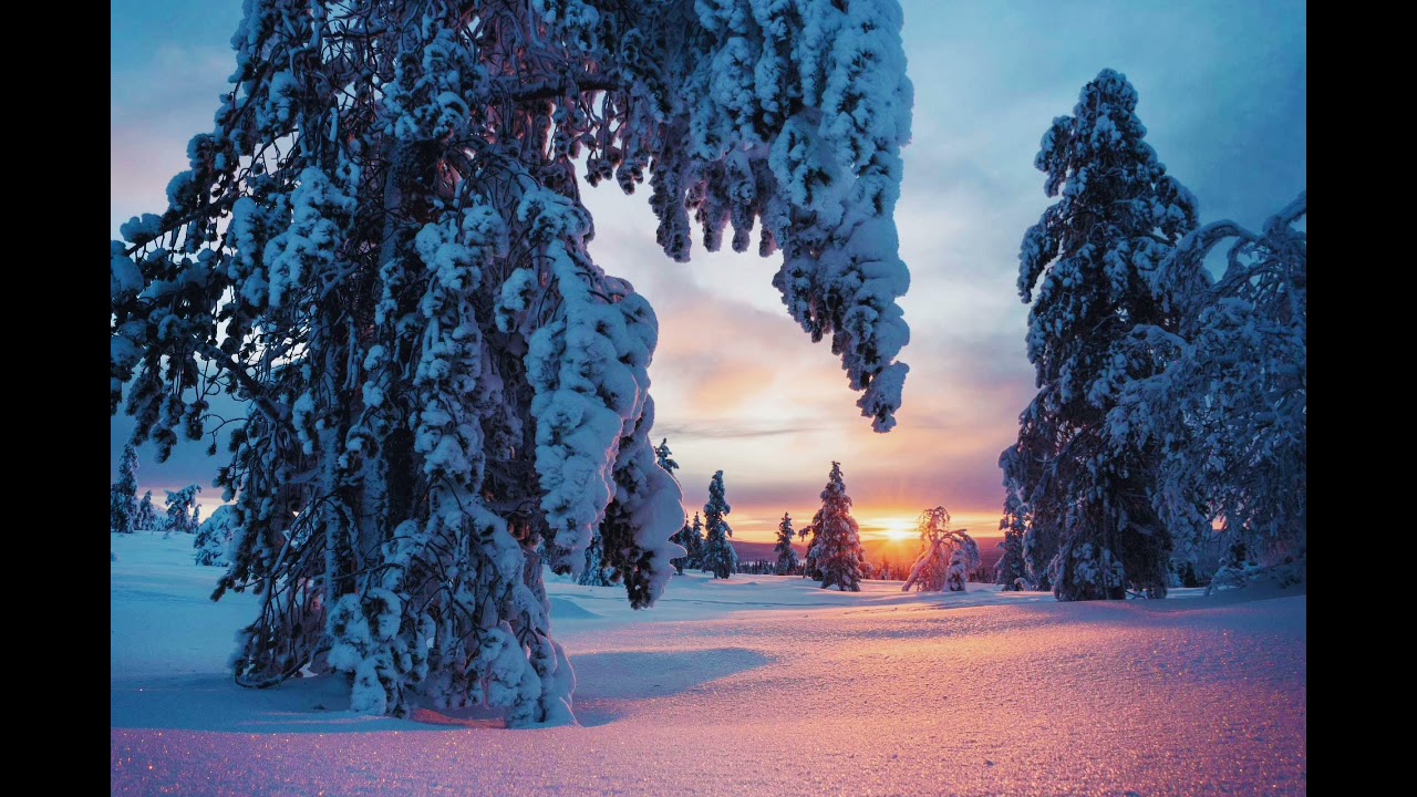 Säkkijärven polkka | s l o w e d  d o w n