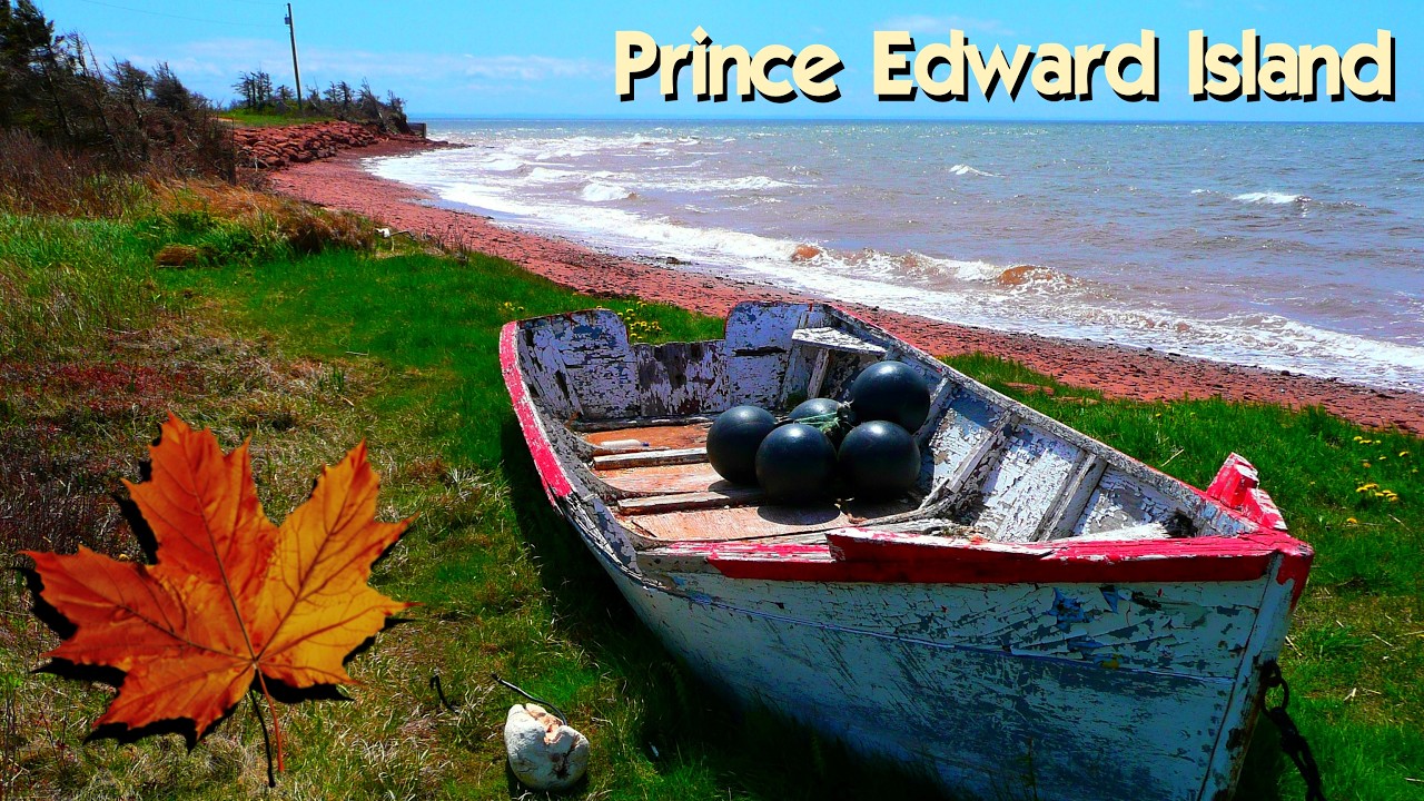 Prince Edward Island Fall Vibes 🍂 | Nature, Coastlines & Colors