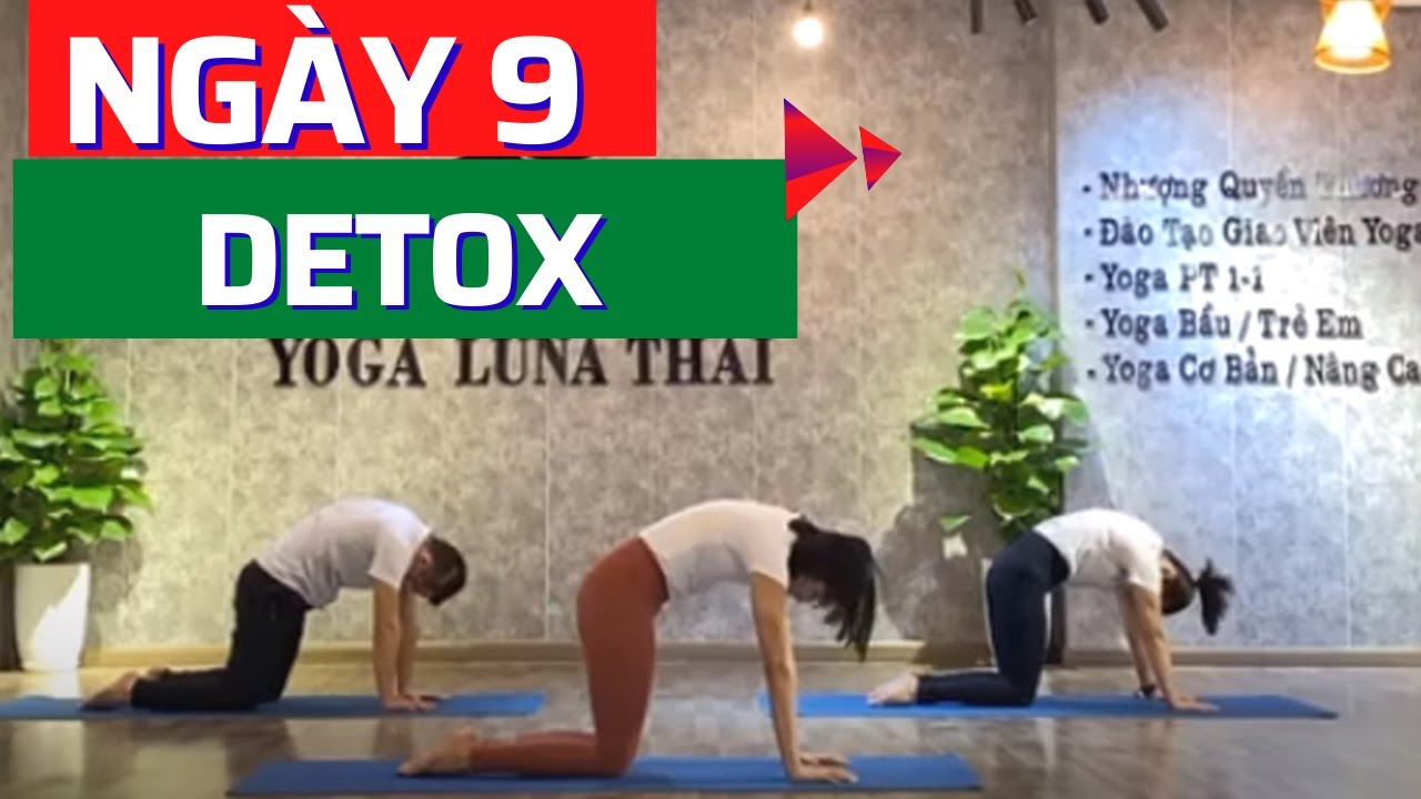 Ngày 9 - Yoga Đào thải độc tố - Series 10 ngày Giảm mỡ  - DETOX [Luna Thái] Yoga Cơ Bản