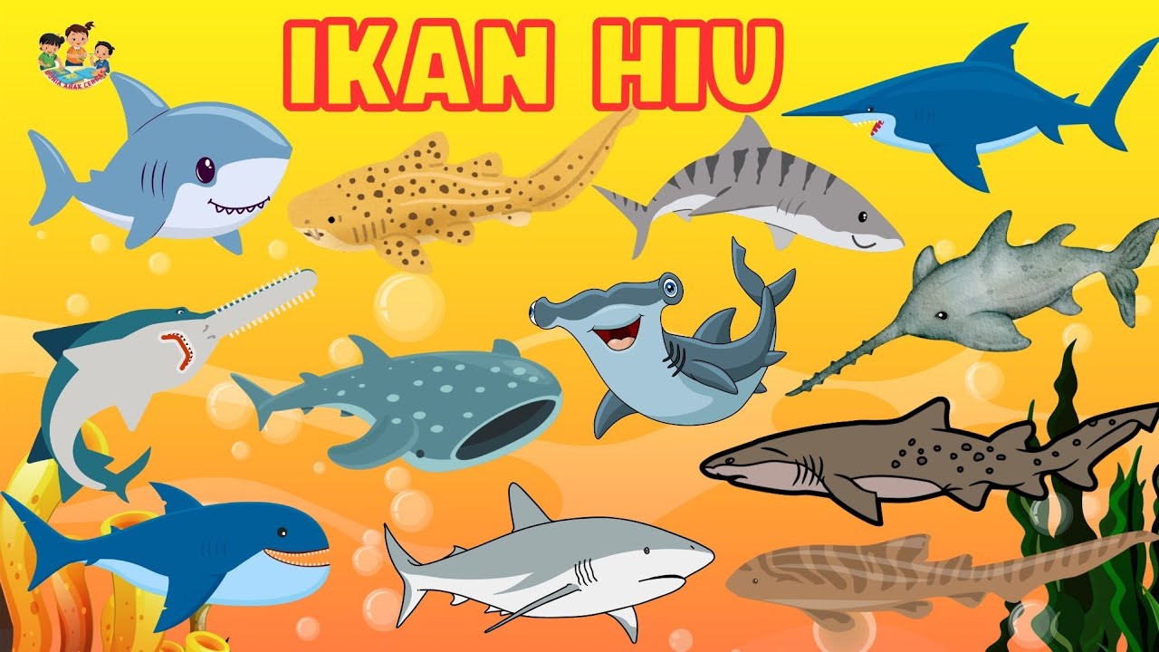 Belajar Mengenal Nama-Nama Ikan Hiu - Video Edukasi Anak || Dunia Anak Cerdas
