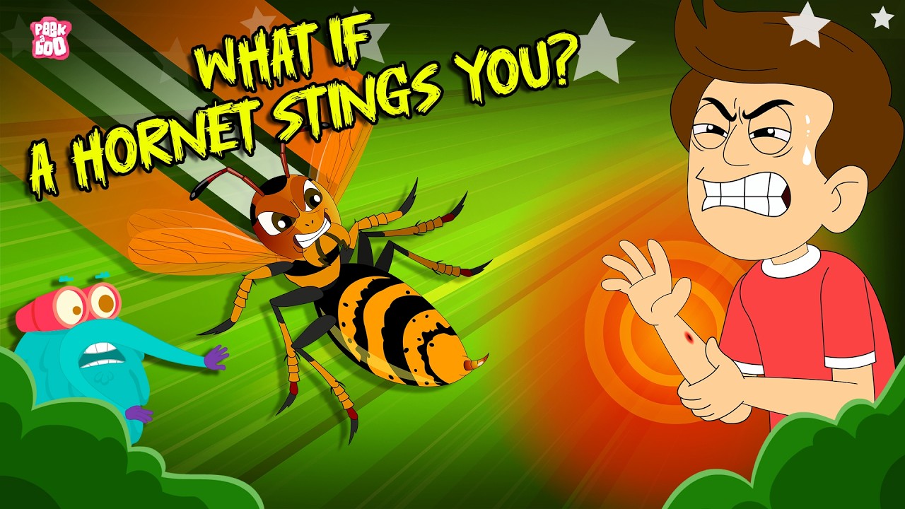 Can a Hornet Sting Be Dangerous? | What If a Hornet Stings You? | Hornets vs Humans | Dr. Binocs