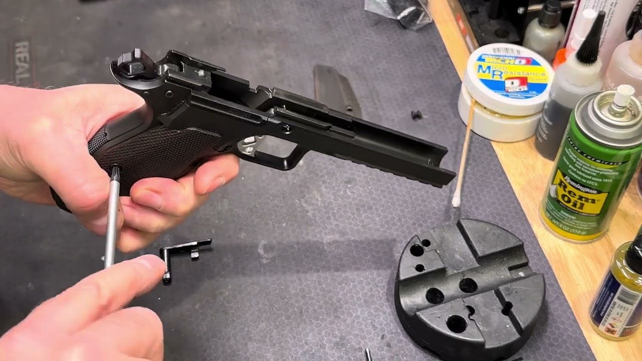 Dan Wesson DWX - Disassembly and summary