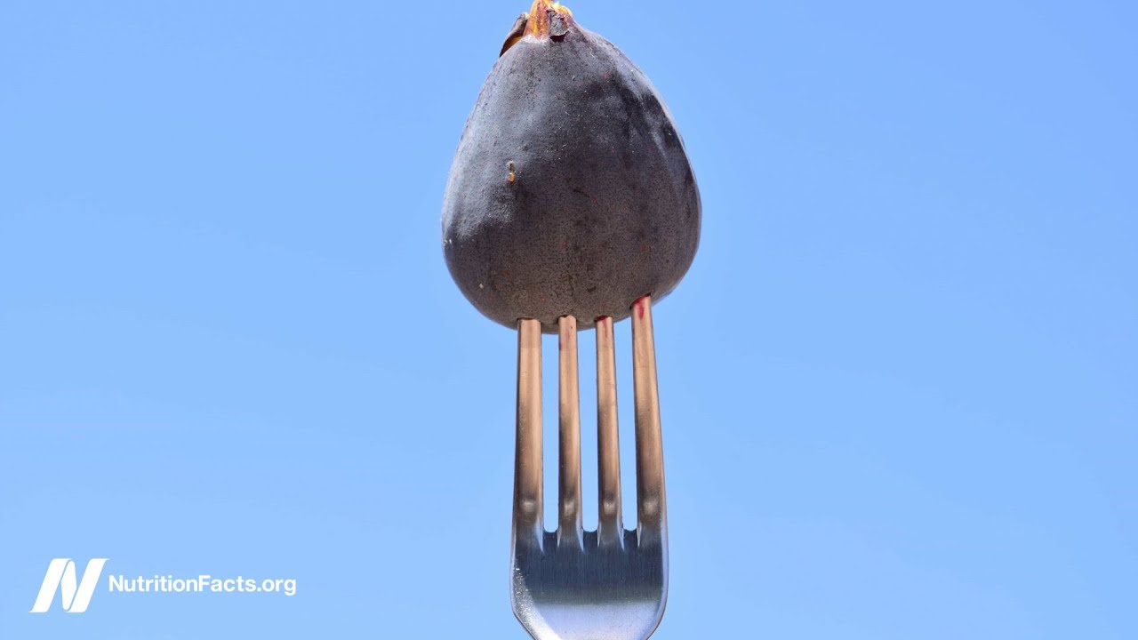 The Orthorexia Nervosa Test
