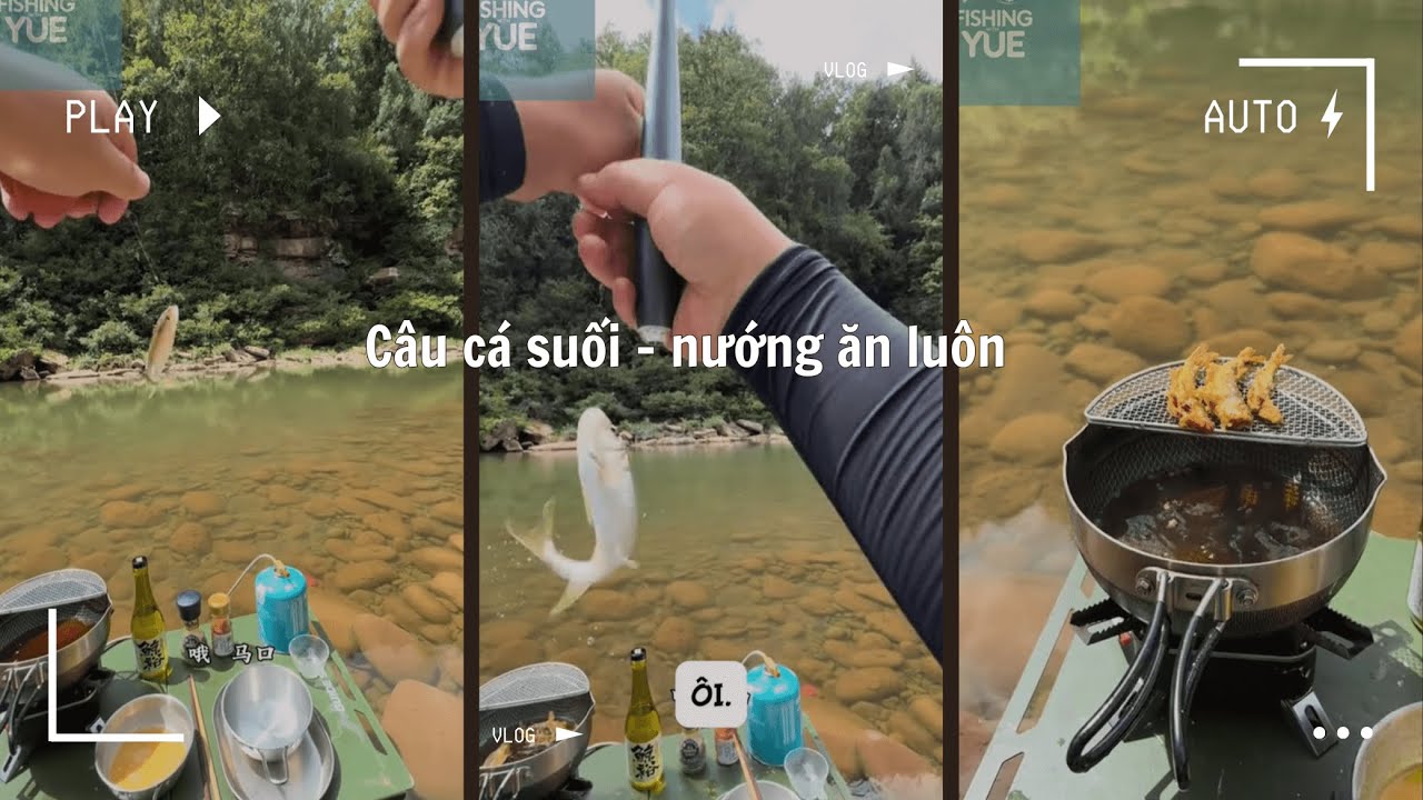 Kỳ Nghỉ Một Mình Đi Câu Cá Suối – Chiên Lên Ăn Tại Chỗ | Fishing with Yue