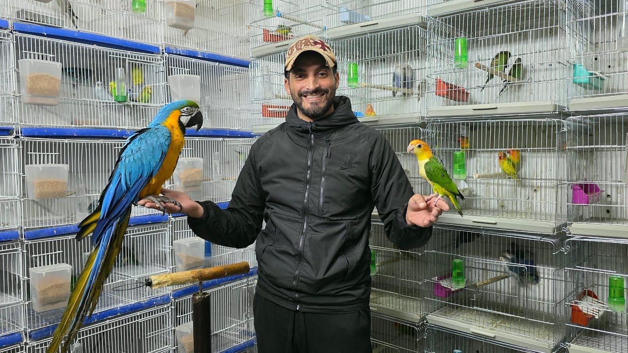 الجديد والجميل عند أنور🔥أجيو نتولعو ونتعرفو على مختلف أنواع الطيور فرجة ممتعة رمضان مبارك