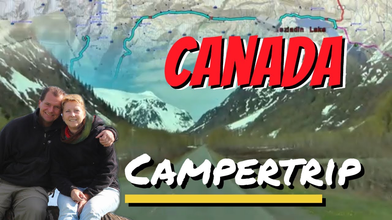We Saw Wild Bears in Canada and Alaska!