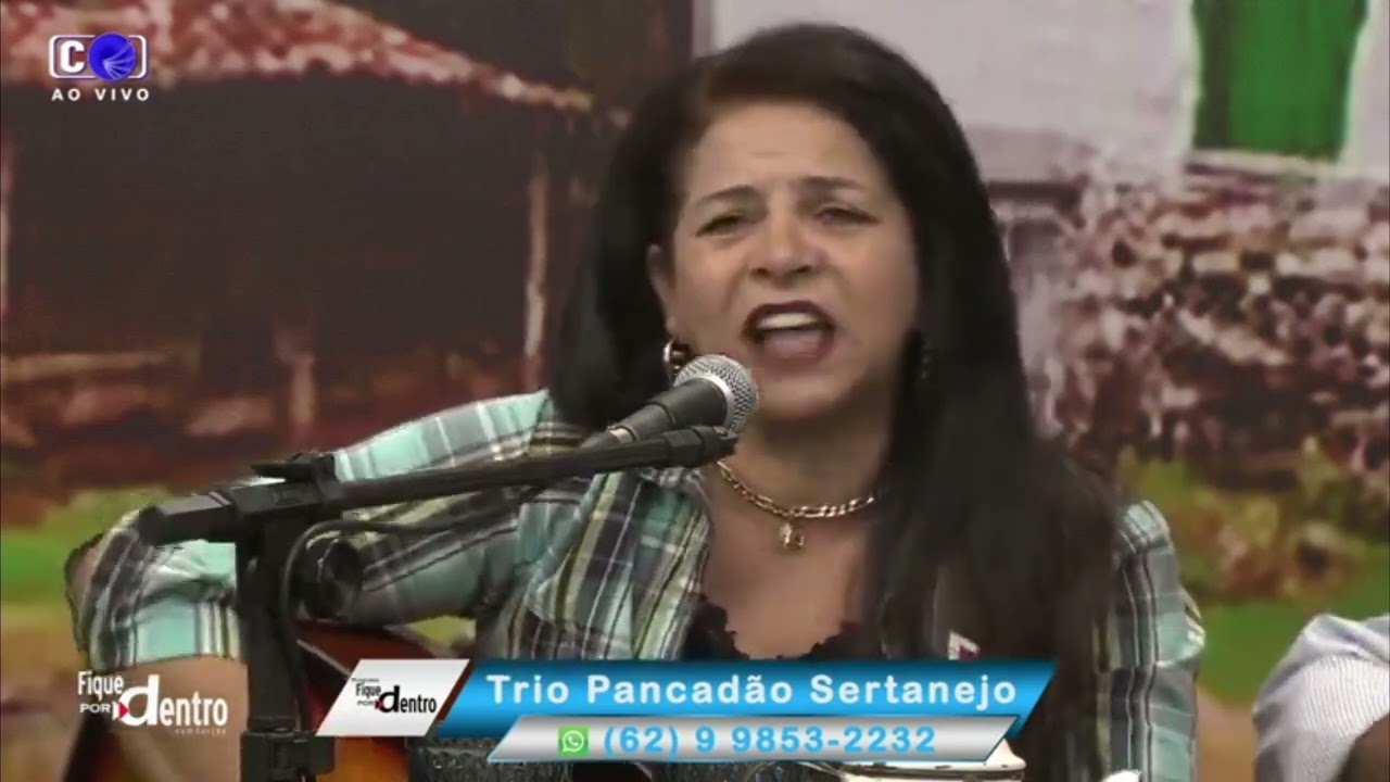 Transporte de Boiada - Trio Pancadão Sertanejo