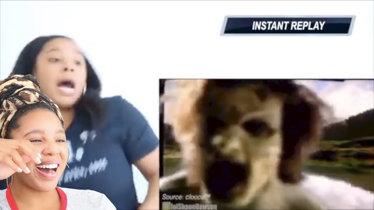 Dee Shanell Getting SCARED Compilation | Reaction