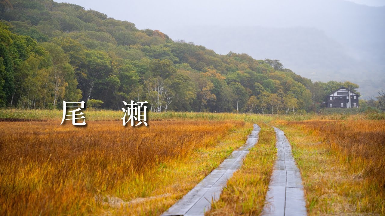 【秋の尾瀬・1泊2日】鳩待峠よりアヤメ平経由で散策してきました（東電小屋泊）