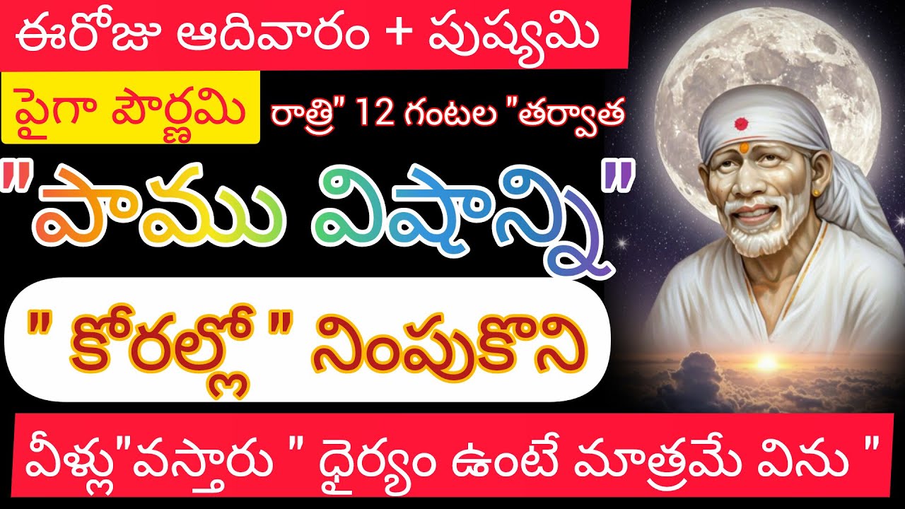 ఈరోజే మాఘ పౌర్ణమి,ఆదివారం + పుష్యమి రాత్రి 12 గంటల తరువాత వీళ్లే పాము విషాన్ని కోరల్లో నింపుకొని