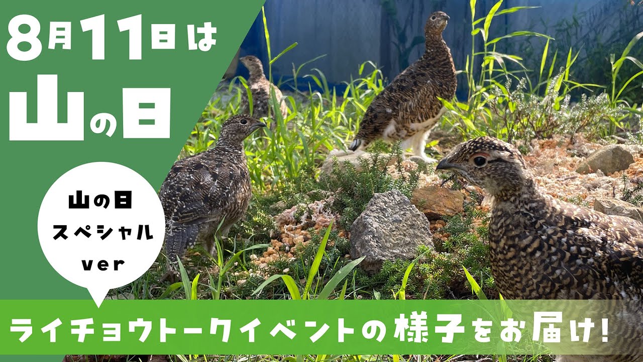【ほぼノーカット！】ここでしか聞けない！山の日ライチョウスペシャルトーク