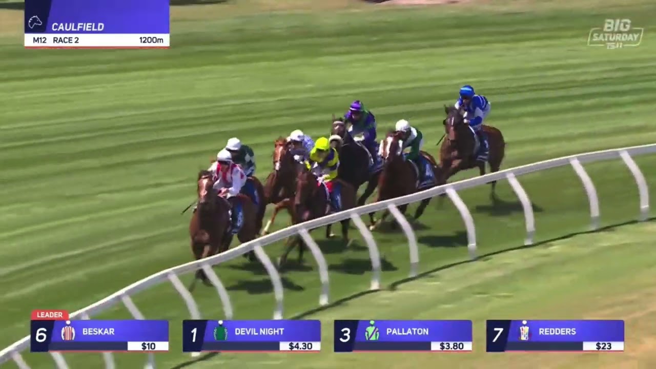 PALLATON | ZEDITAVE STAKES GROUP 3 2026