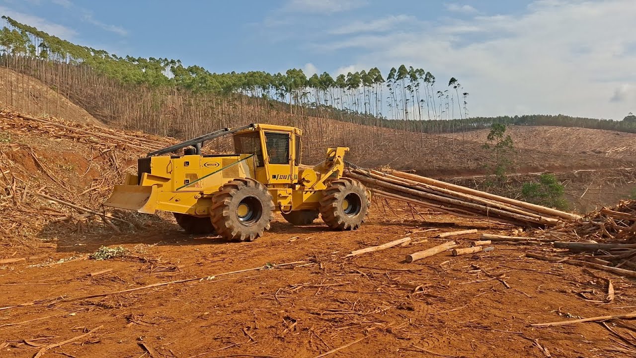 Weiler Cable Skidder in Action | Forestry Harvesting Extraction Process