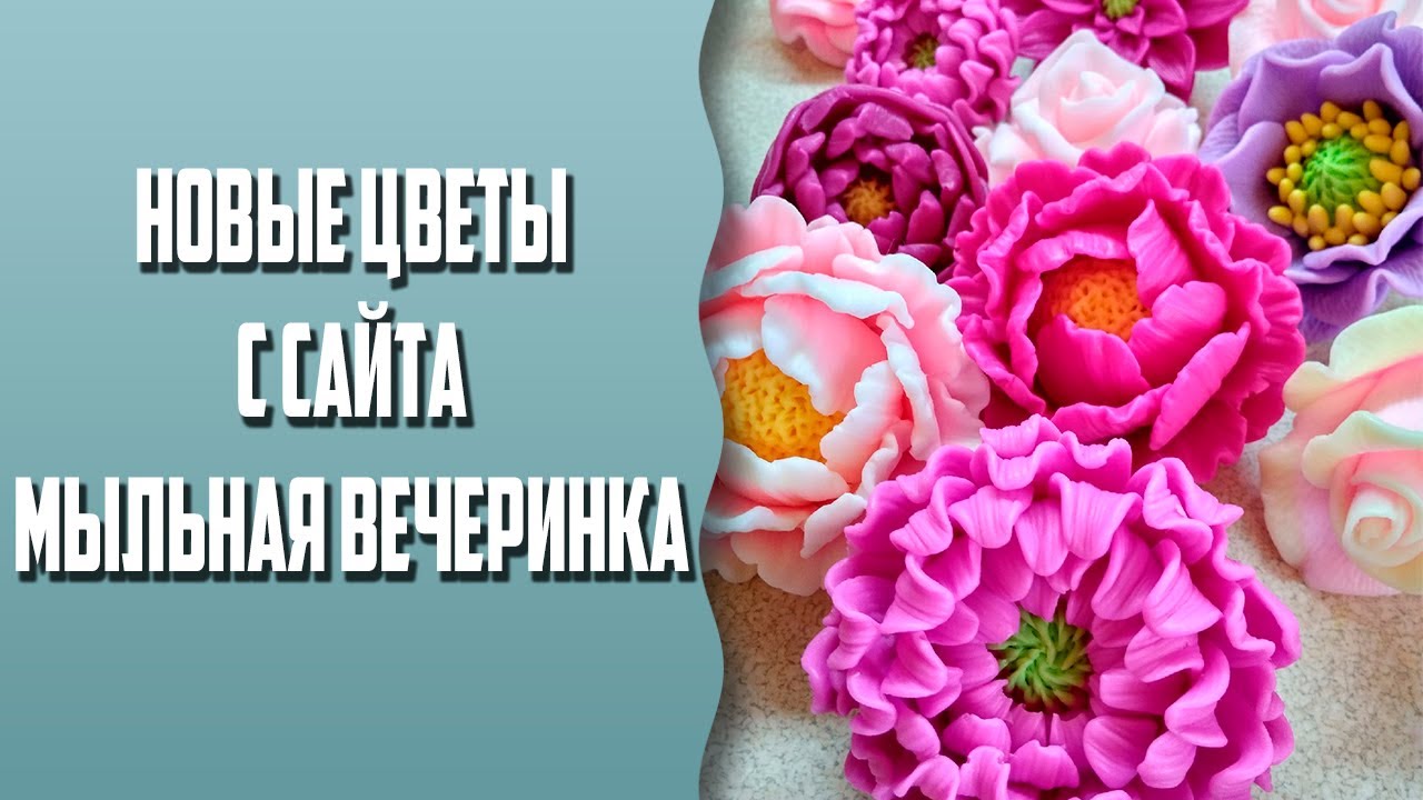 Новые цветы с сайта 